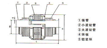 直管压力平衡波纹补偿器(ZYP型) 型号示例